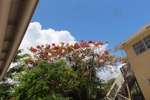 resIMG_20190610_110036_0710.JPG